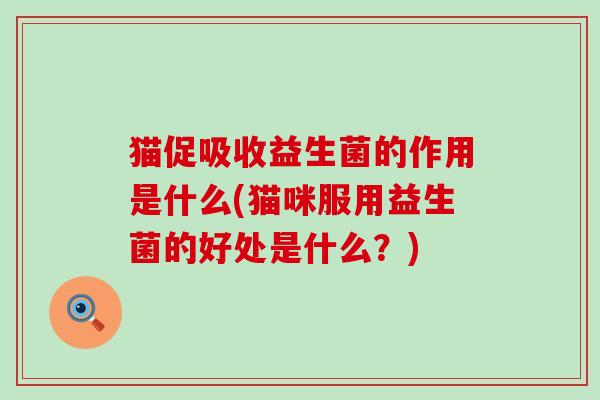 猫促吸收益生菌的作用是什么(猫咪服用益生菌的好处是什么?) 猫促吸收益生菌的作用是什么(猫咪服用益生菌的好处是什么?)