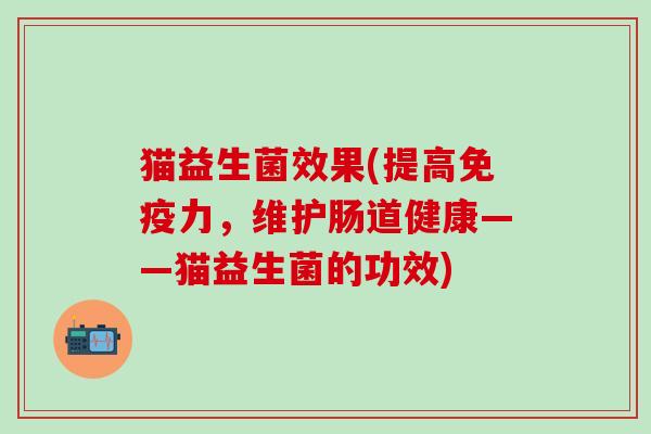 猫益生菌效果(提高力，维护肠道健康——猫益生菌的功效)