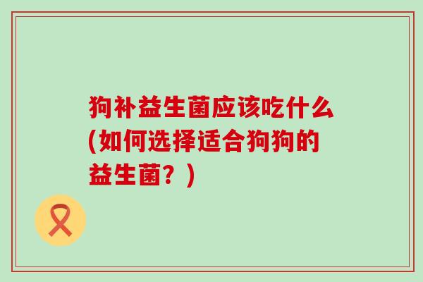 狗补益生菌应该吃什么(如何选择适合狗狗的益生菌?) 狗补益生菌应该吃什么(如何选择适合狗狗的益生菌?)