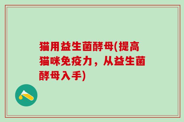猫用益生菌酵母(提高猫咪力，从益生菌酵母入手)
