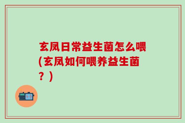 玄凤日常益生菌怎么喂(玄凤如何喂养益生菌?) 玄凤日常益生菌怎么喂(玄凤如何喂养益生菌?)