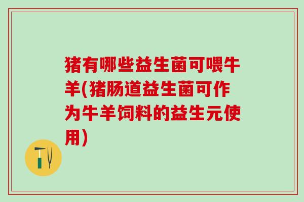 猪有哪些益生菌可喂牛羊(猪肠道益生菌可作为牛羊饲料的益生元使用)