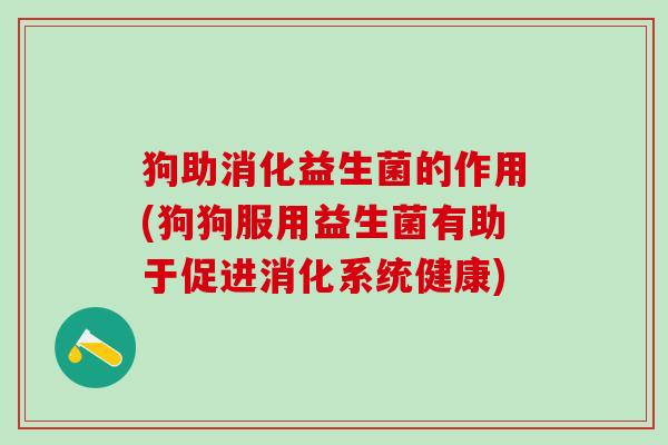 狗助消化益生菌的作用(狗狗服用益生菌有助于促进消化系统健康)
