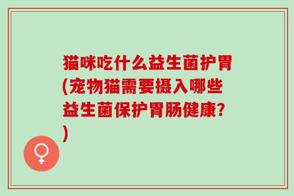 猫咪吃什么益生菌护胃(宠物猫需要摄入哪些益生菌保护健康？)