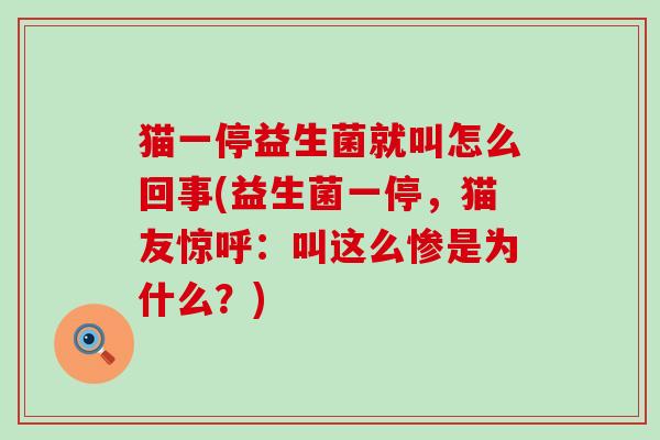 猫一停益生菌就叫怎么回事(益生菌一停,猫友惊呼:叫这么惨是为什么?) 猫一停益生菌就叫怎么回事(益生菌一停,猫友惊呼:叫这么惨是为什么?)