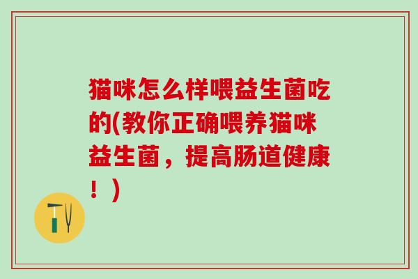 猫咪怎么样喂益生菌吃的(教你正确喂养猫咪益生菌，提高肠道健康！)