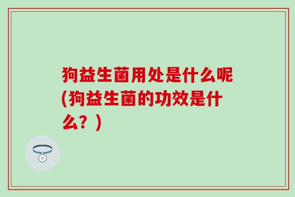 狗益生菌用处是什么呢(狗益生菌的功效是什么?) 狗益生菌用处是什么呢(狗益生菌的功效是什么?)