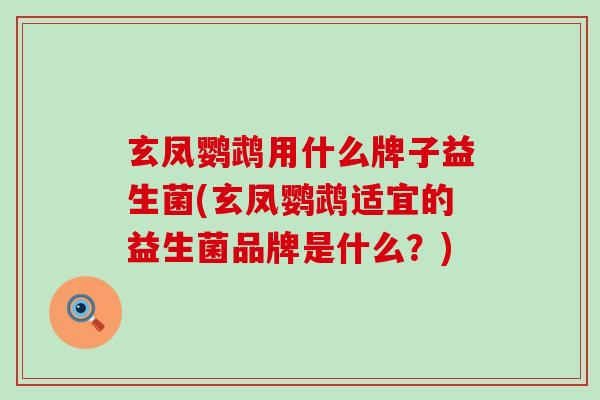 玄凤鹦鹉用什么牌子益生菌(玄凤鹦鹉适宜的益生菌品牌是什么?) 玄凤鹦鹉用什么牌子益生菌(玄凤鹦鹉适宜的益生菌品牌是什么?)