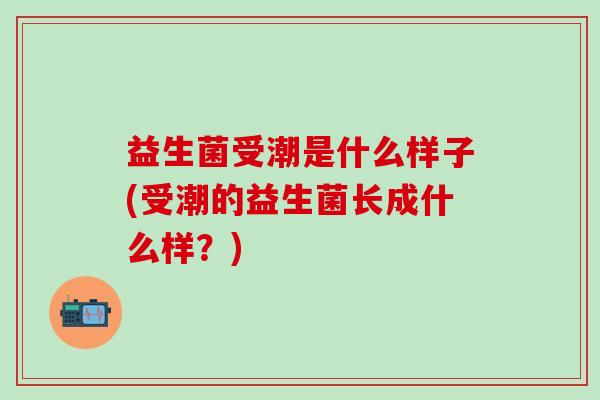 益生菌受潮是什么样子(受潮的益生菌长成什么样？)