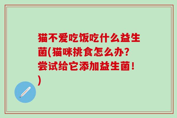 猫不爱吃饭吃什么益生菌(猫咪挑食怎么办？尝试给它添加益生菌！)