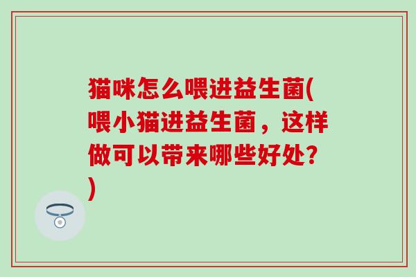 猫咪怎么喂进益生菌(喂小猫进益生菌，这样做可以带来哪些好处？)