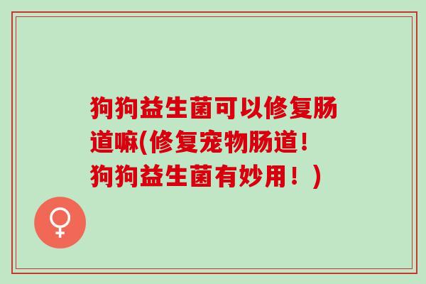 狗狗益生菌可以修复肠道嘛(修复宠物肠道！狗狗益生菌有妙用！)