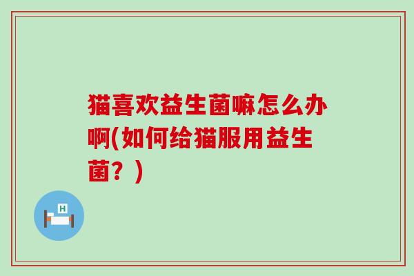 猫喜欢益生菌嘛怎么办啊(如何给猫服用益生菌？)