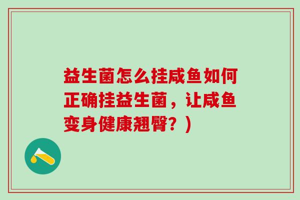 益生菌怎么挂咸鱼如何正确挂益生菌，让咸鱼变身健康翘臀？)
