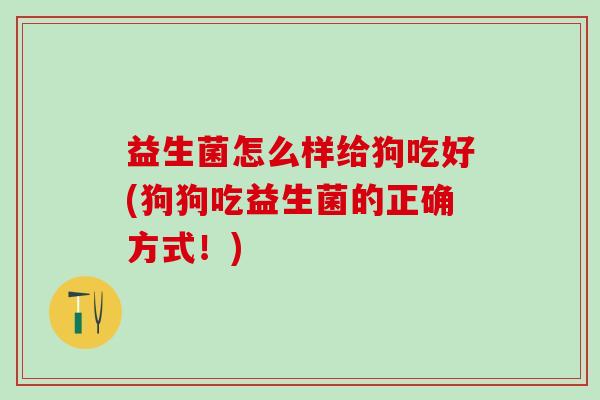 益生菌怎么样给狗吃好(狗狗吃益生菌的正确方式!) 益生菌怎么样给狗吃好(狗狗吃益生菌的正确方式!)