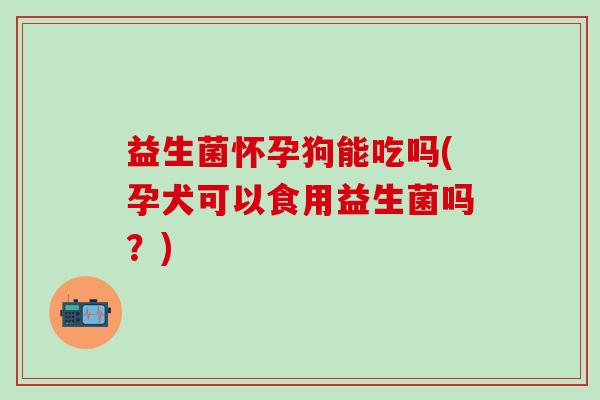 益生菌怀孕狗能吃吗(孕犬可以食用益生菌吗？)