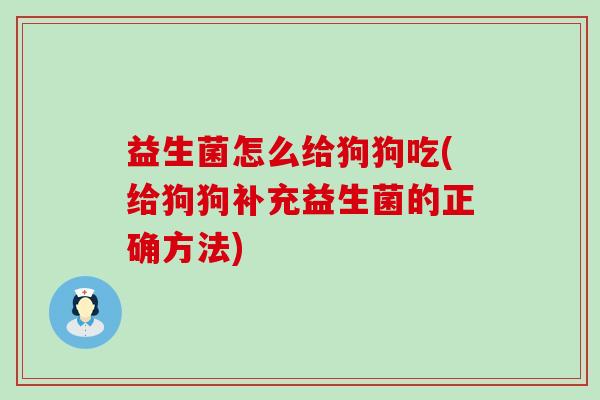 益生菌怎么给狗狗吃(给狗狗补充益生菌的正确方法)