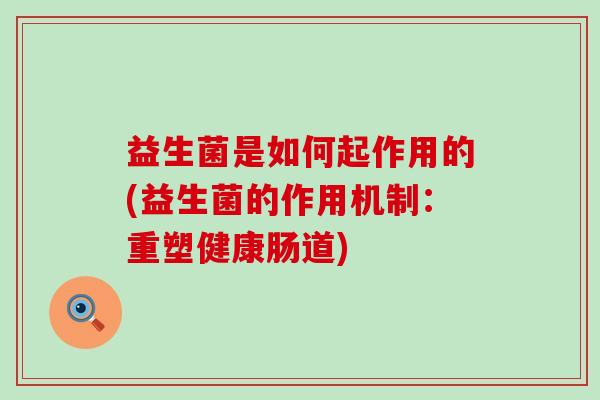 益生菌是如何起作用的(益生菌的作用机制：重塑健康肠道)