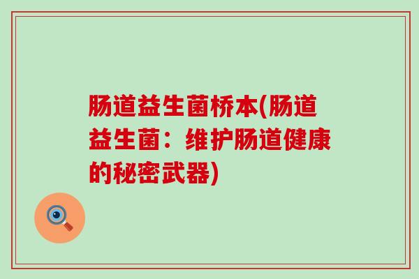 肠道益生菌桥本(肠道益生菌：维护肠道健康的秘密武器)