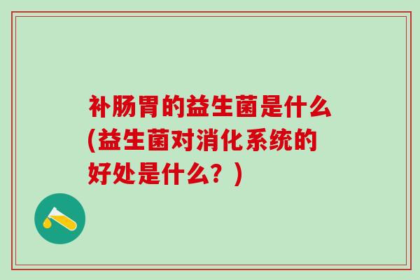 补肠胃的益生菌是什么(益生菌对消化系统的好处是什么？)