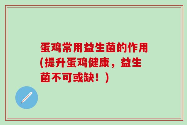 蛋鸡常用益生菌的作用(提升蛋鸡健康,益生菌不可或缺!) 蛋鸡常用益生菌的作用(提升蛋鸡健康,益生菌不可或缺!)