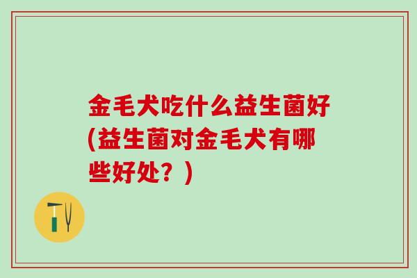 金毛犬吃什么益生菌好(益生菌对金毛犬有哪些好处？)