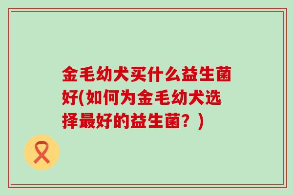 金毛幼犬买什么益生菌好(如何为金毛幼犬选择好的益生菌?) 金毛幼犬买什么益生菌好(如何为金毛幼犬选择好的益生菌?)