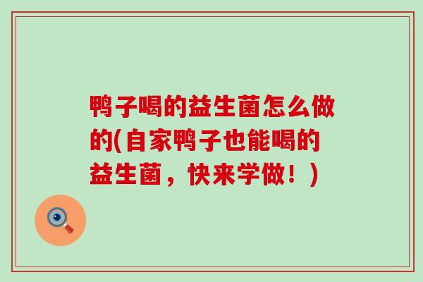 鸭子喝的益生菌怎么做的(自家鸭子也能喝的益生菌,快来学做!) 鸭子喝的益生菌怎么做的(自家鸭子也能喝的益生菌,快来学做!)
