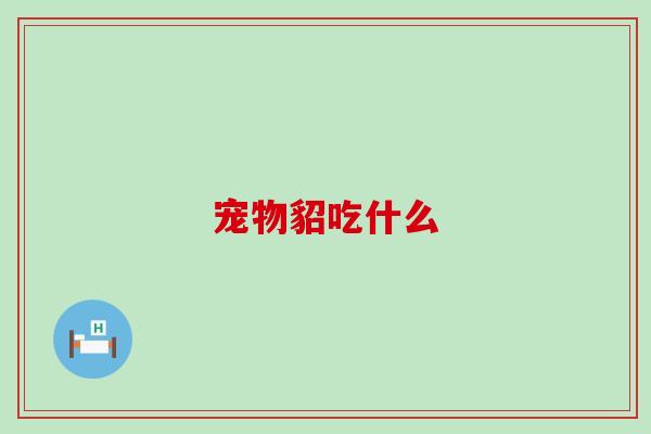 宠物貂吃什么