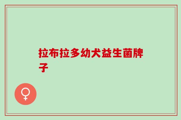 拉布拉多幼犬益生菌牌子 拉布拉多幼犬益生菌牌子