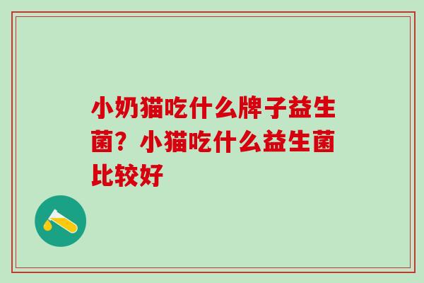 小奶猫吃什么牌子益生菌？小猫吃什么益生菌比较好
