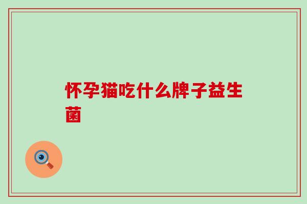 怀孕猫吃什么牌子益生菌 怀孕猫吃什么牌子益生菌