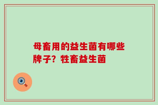 母畜用的益生菌有哪些牌子?牲畜益生菌 母畜用的益生菌有哪些牌子?牲畜益生菌