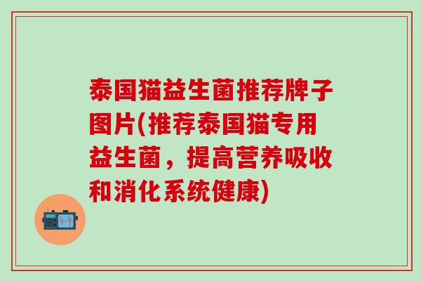 泰国猫益生菌推荐牌子图片(推荐泰国猫专用益生菌，提高营养吸收和消化系统健康)