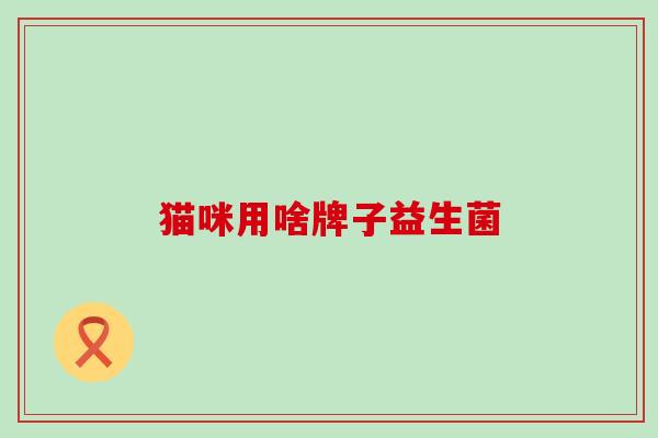 猫咪用啥牌子益生菌