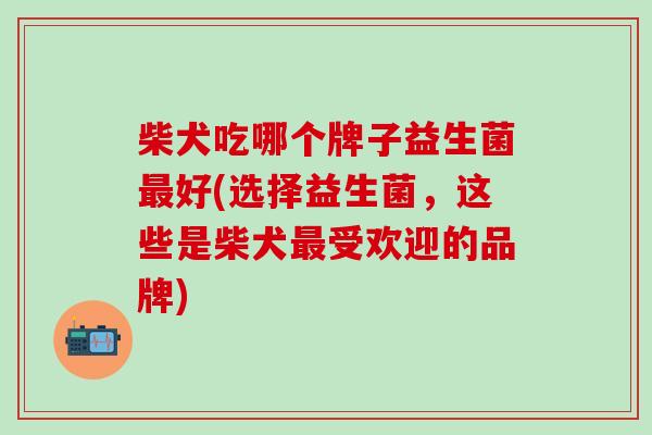 柴犬吃哪个牌子益生菌好(选择益生菌,这些是柴犬受欢迎的品牌) 柴犬吃哪个牌子益生菌好(选择益生菌,这些是柴犬受欢迎的品牌)