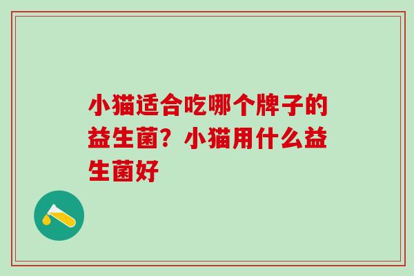 小猫适合吃哪个牌子的益生菌?小猫用什么益生菌好 小猫适合吃哪个牌子的益生菌?小猫用什么益生菌好
