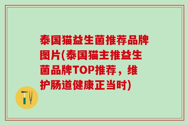 泰国猫益生菌推荐品牌图片(泰国猫主推益生菌品牌TOP推荐，维护肠道健康正当时)