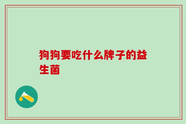狗狗要吃什么牌子的益生菌