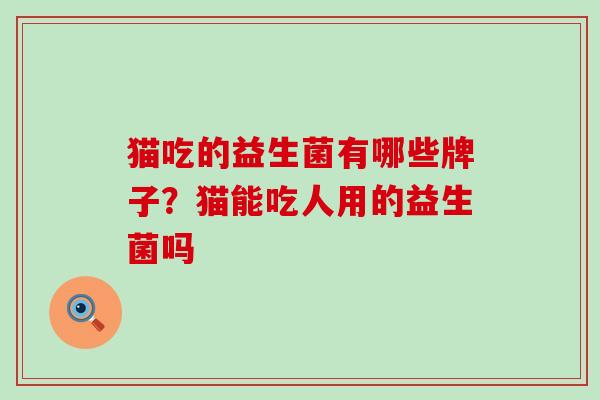 猫吃的益生菌有哪些牌子?猫能吃人用的益生菌吗 猫吃的益生菌有哪些牌子?猫能吃人用的益生菌吗