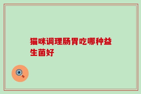 猫咪调理肠胃吃哪种益生菌好 猫咪调理肠胃吃哪种益生菌好