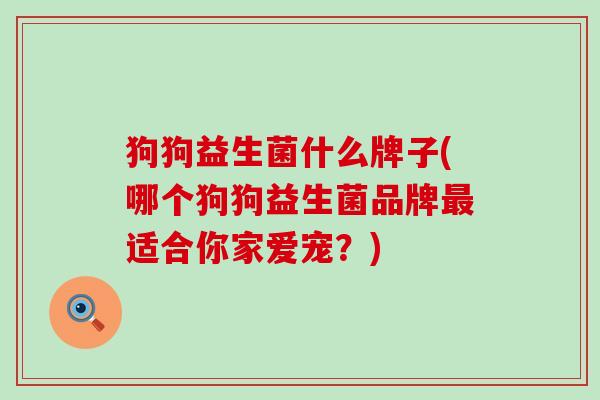狗狗益生菌什么牌子(哪个狗狗益生菌品牌适合你家爱宠?) 狗狗益生菌什么牌子(哪个狗狗益生菌品牌适合你家爱宠?)