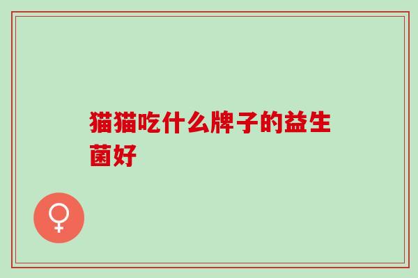 猫猫吃什么牌子的益生菌好