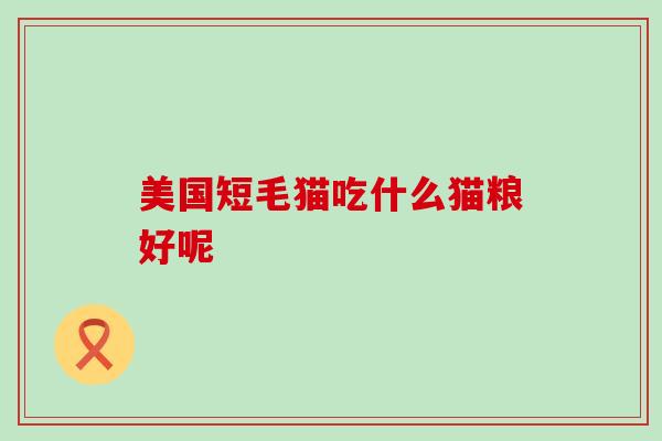 美国短毛猫吃什么猫粮好呢 美国短毛猫吃什么猫粮好呢