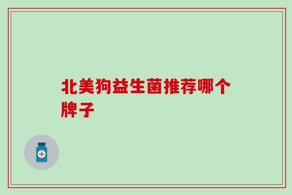 北美狗益生菌推荐哪个牌子 北美狗益生菌推荐哪个牌子