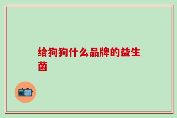 给狗狗什么品牌的益生菌