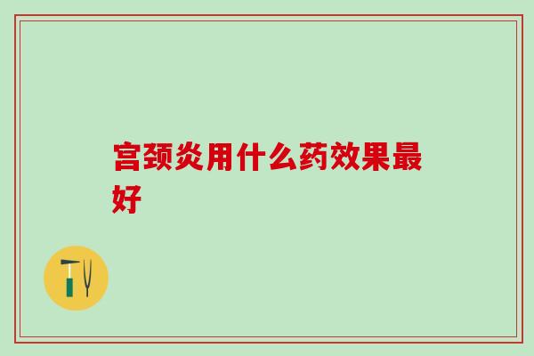 宫颈炎用什么果好