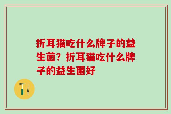 折耳猫吃什么牌子的益生菌?折耳猫吃什么牌子的益生菌好 折耳猫吃什么牌子的益生菌?折耳猫吃什么牌子的益生菌好