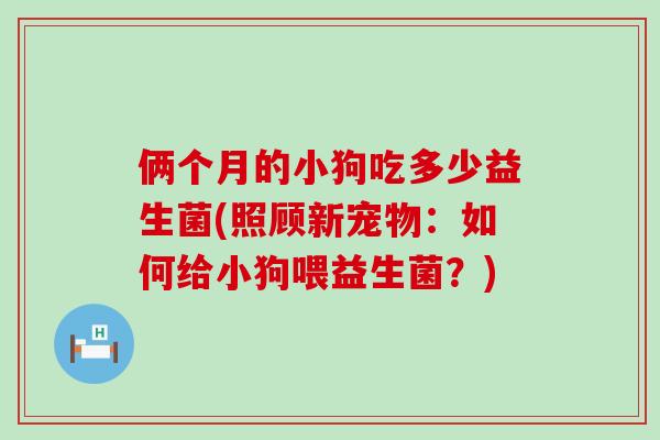俩个月的小狗吃多少益生菌(照顾新宠物：如何给小狗喂益生菌？)