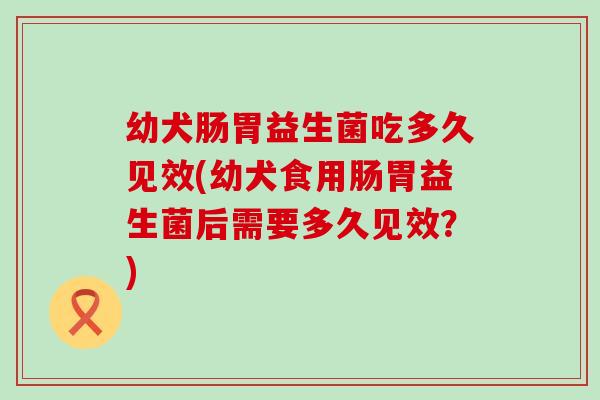 幼犬肠胃益生菌吃多久见效(幼犬食用肠胃益生菌后需要多久见效?) 幼犬肠胃益生菌吃多久见效(幼犬食用肠胃益生菌后需要多久见效?)